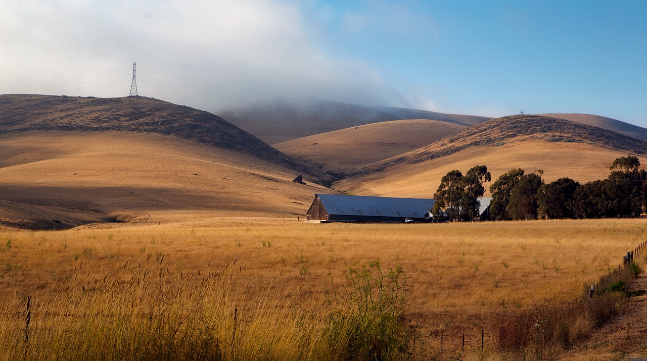 长江壮丽画卷,最新风景与不断焕发的生机