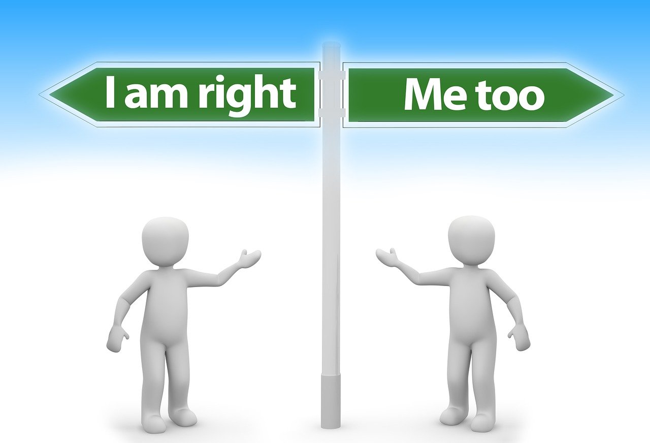 最新禁养目录,理解与探讨的焦点话题