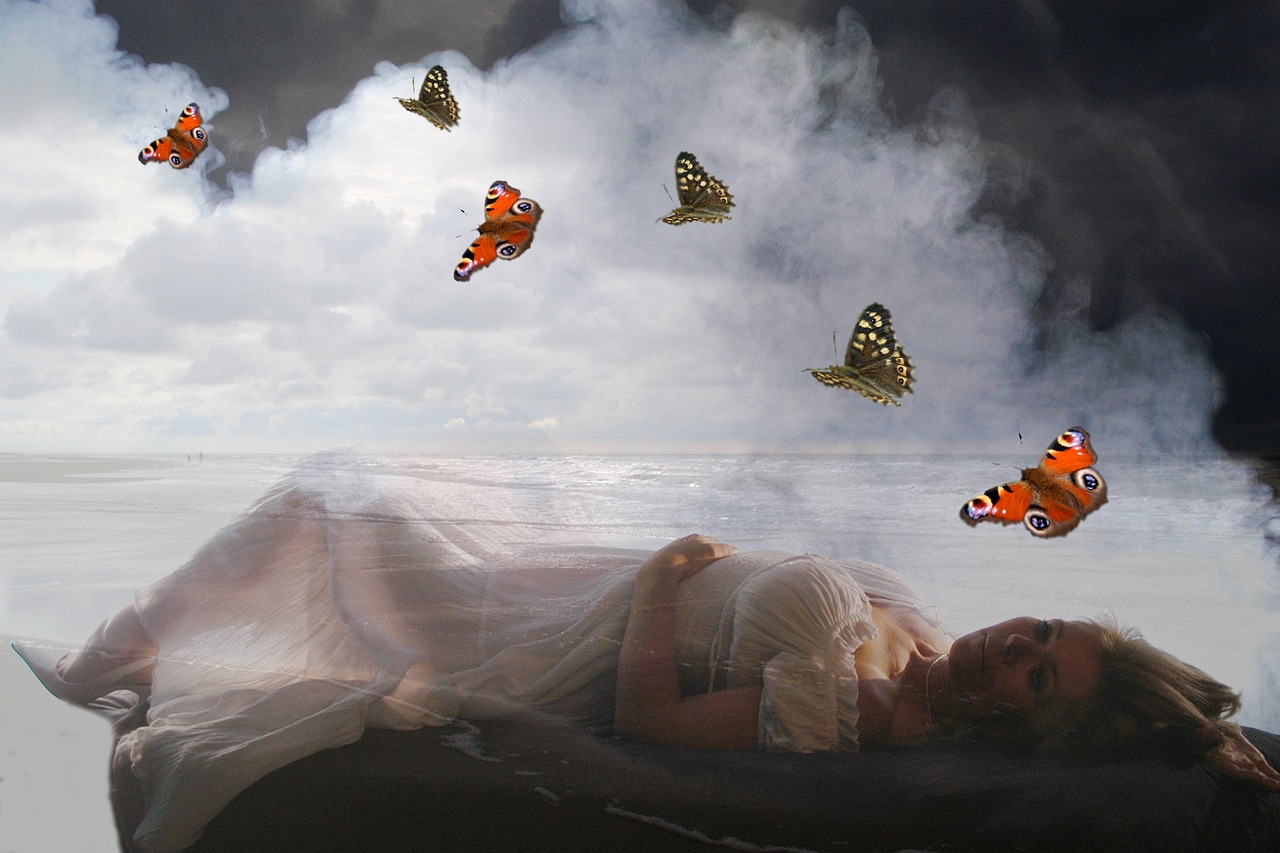 白城最新房价动态及市场走势,购房指南与最新资讯速递