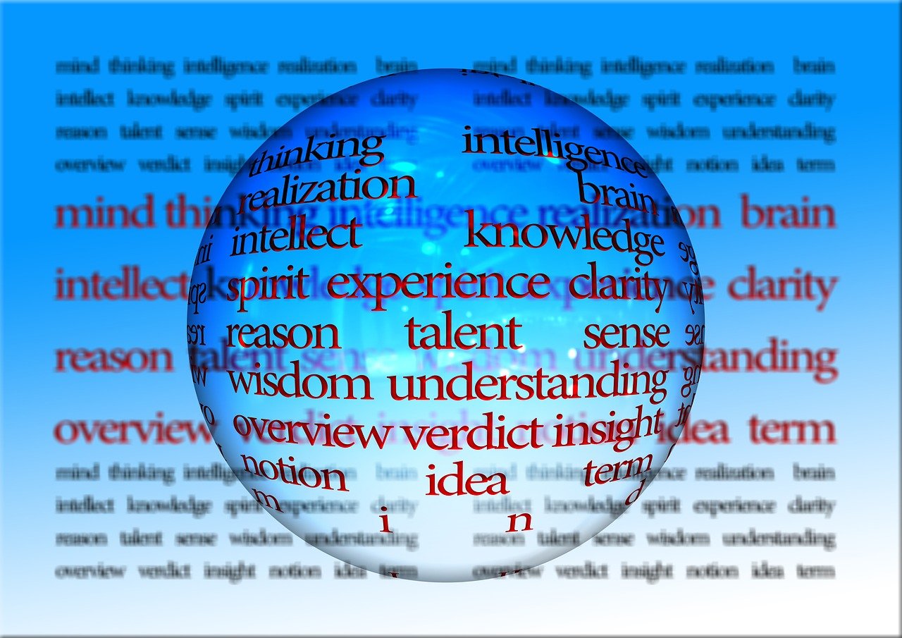 瑞安最新概况概述