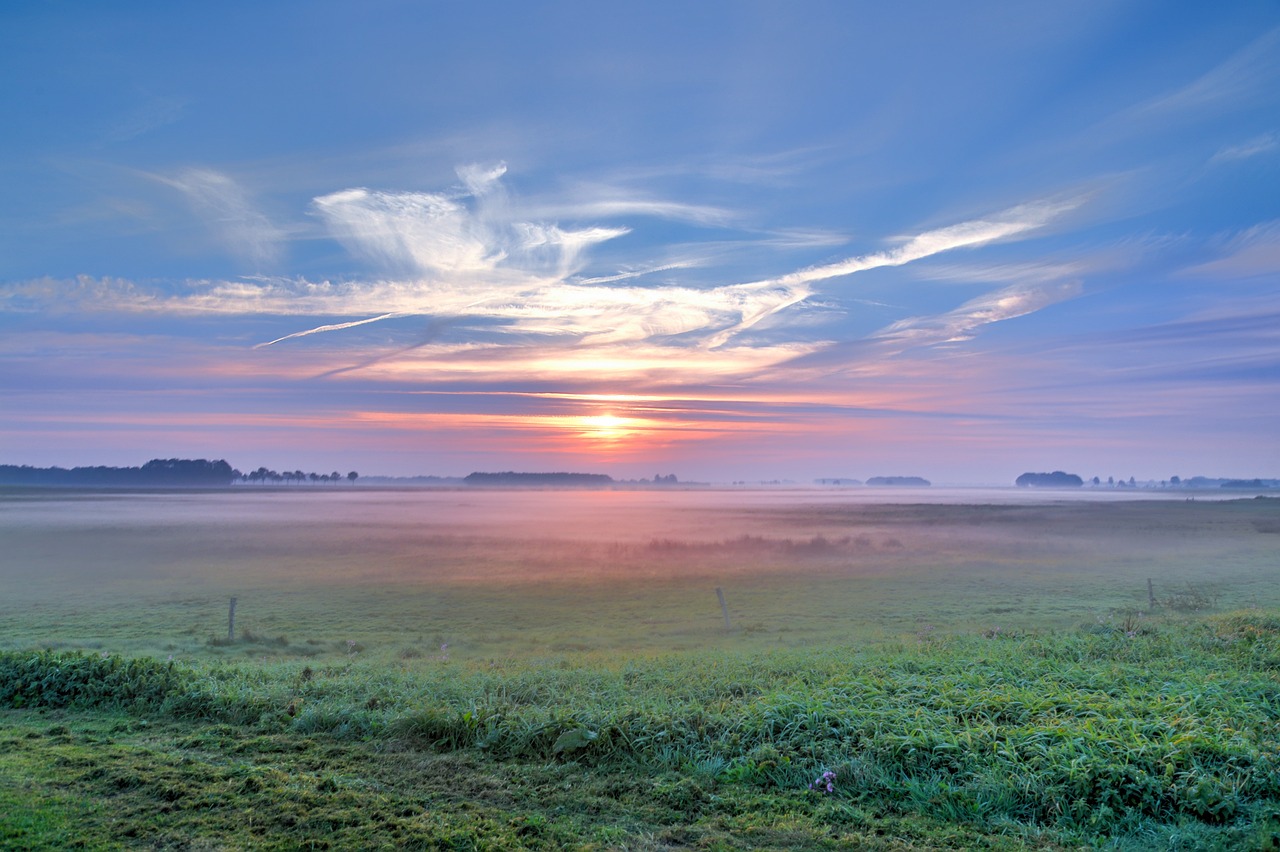 香港最新动态,繁荣与活力的新篇章持续展开