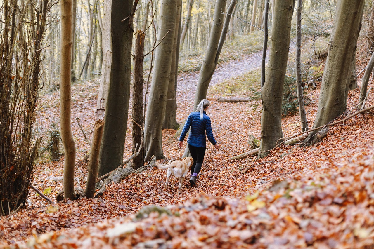 上海注册公司最新动态及趋势分析概览