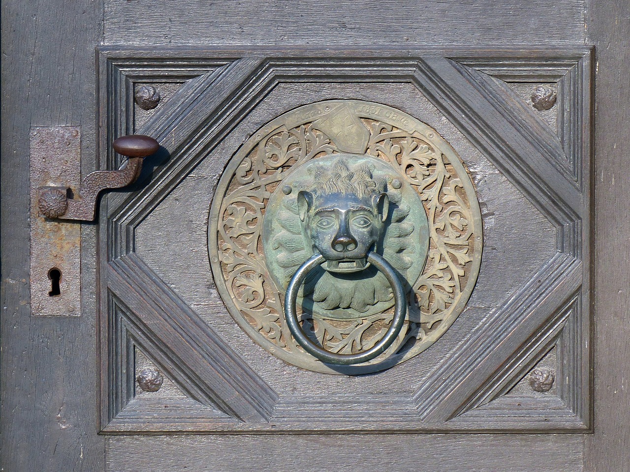 深圳回海口最新动态,探寻发展轨迹,一路向南的进展更新