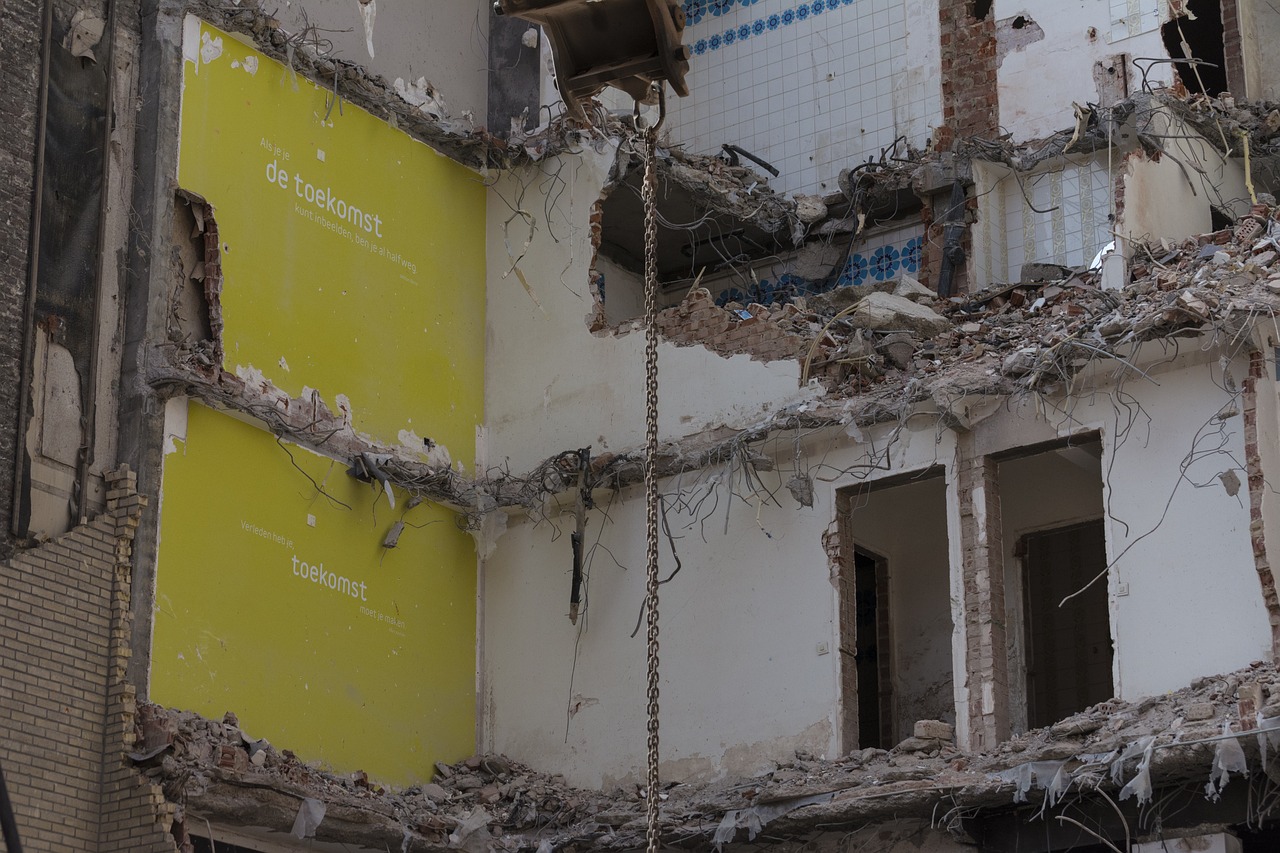 探索语言发展前沿与变迁,最新的吗英语最新动态