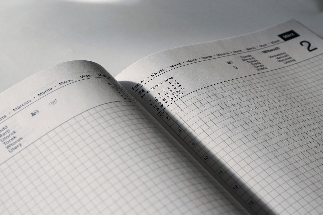 最新担保书撰写指南及注意事项全解析