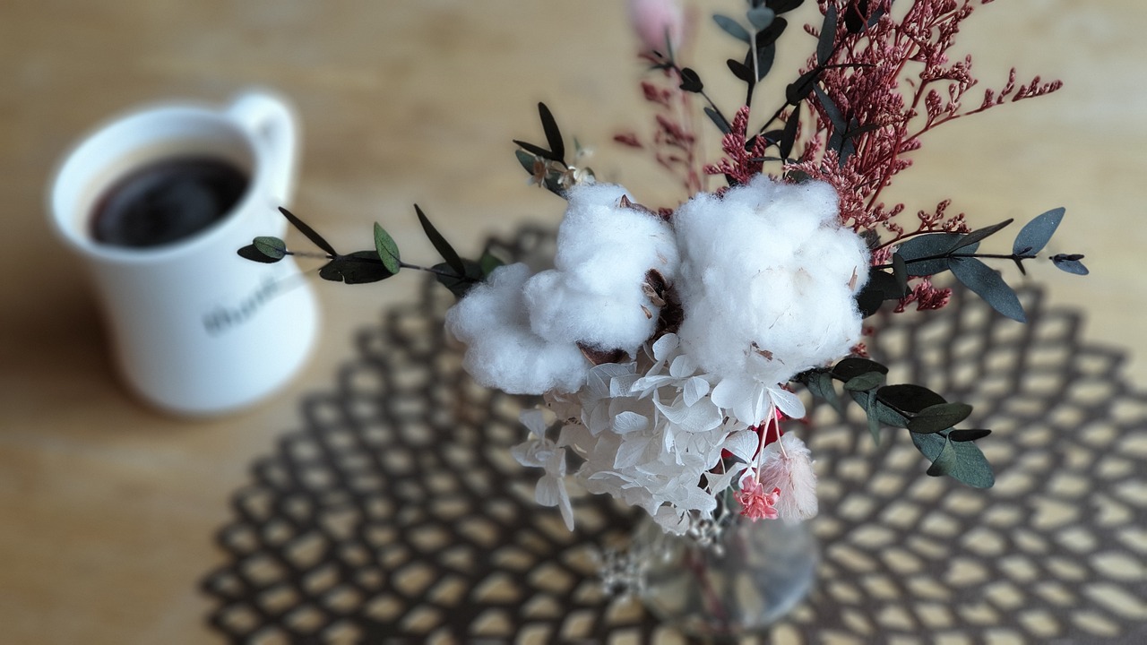 于佳宁最新动态,各领域新星闪耀,展现无限光彩