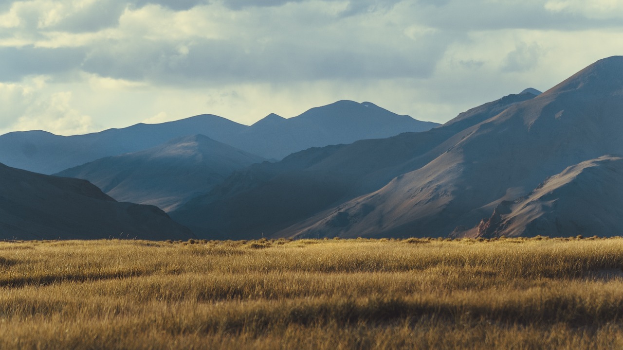 中印领土争端最新动态分析,最新进展与解析