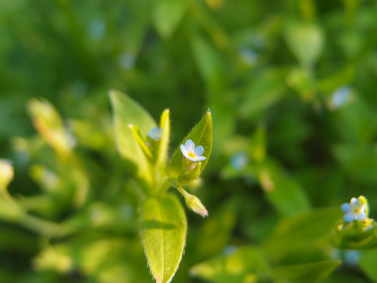 桑一非最新动态,探索新领域,揭开成就与未来展望