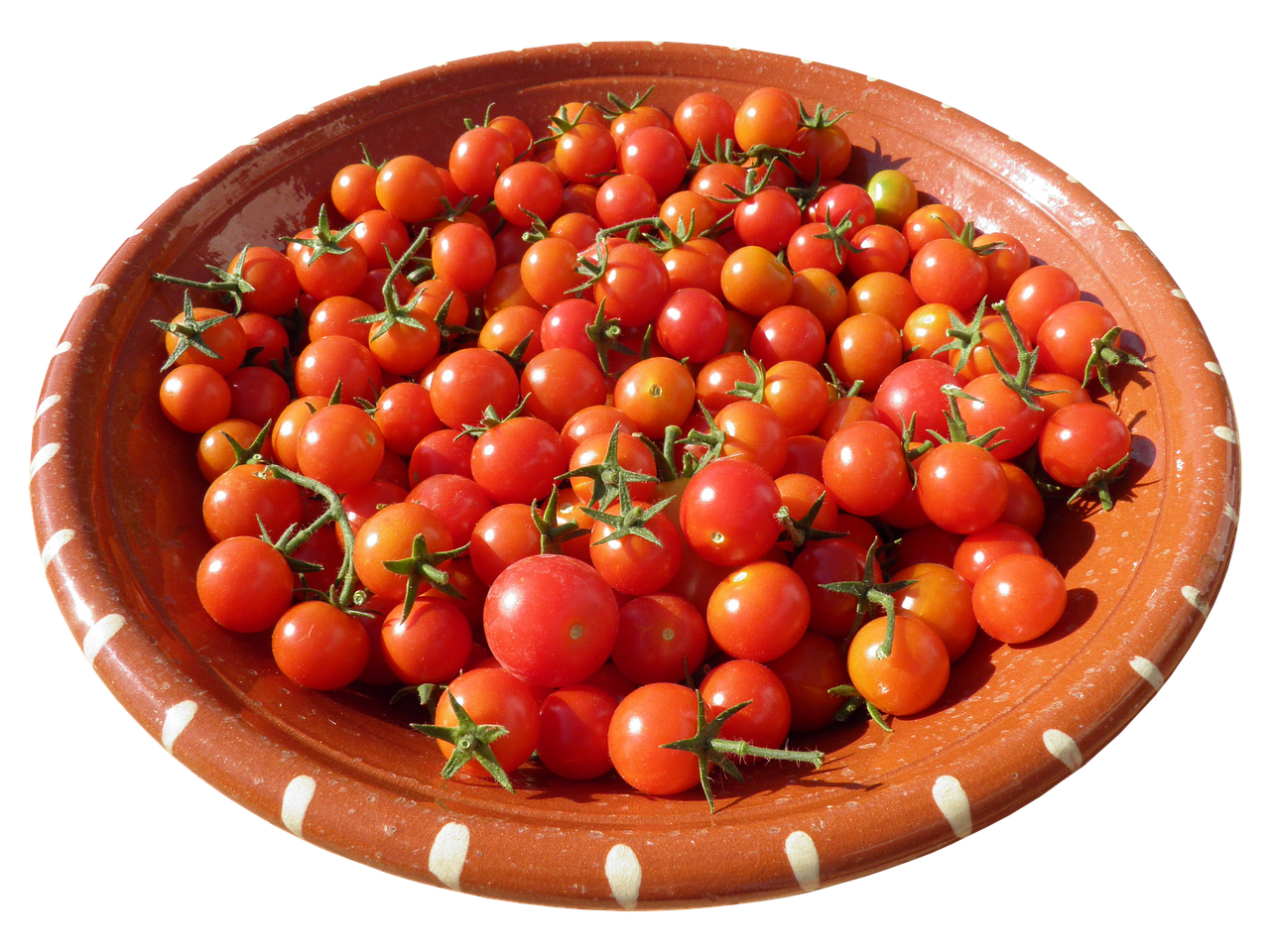 革新传统工艺,最新豆干机引领健康零食新时代