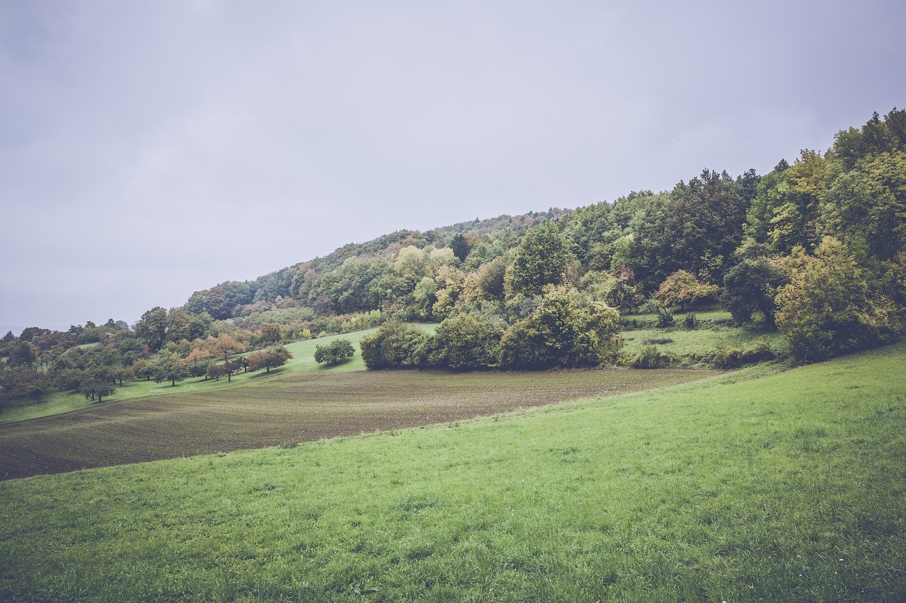 绍兴最新地皮,城市发展的潜力热土与未来展望