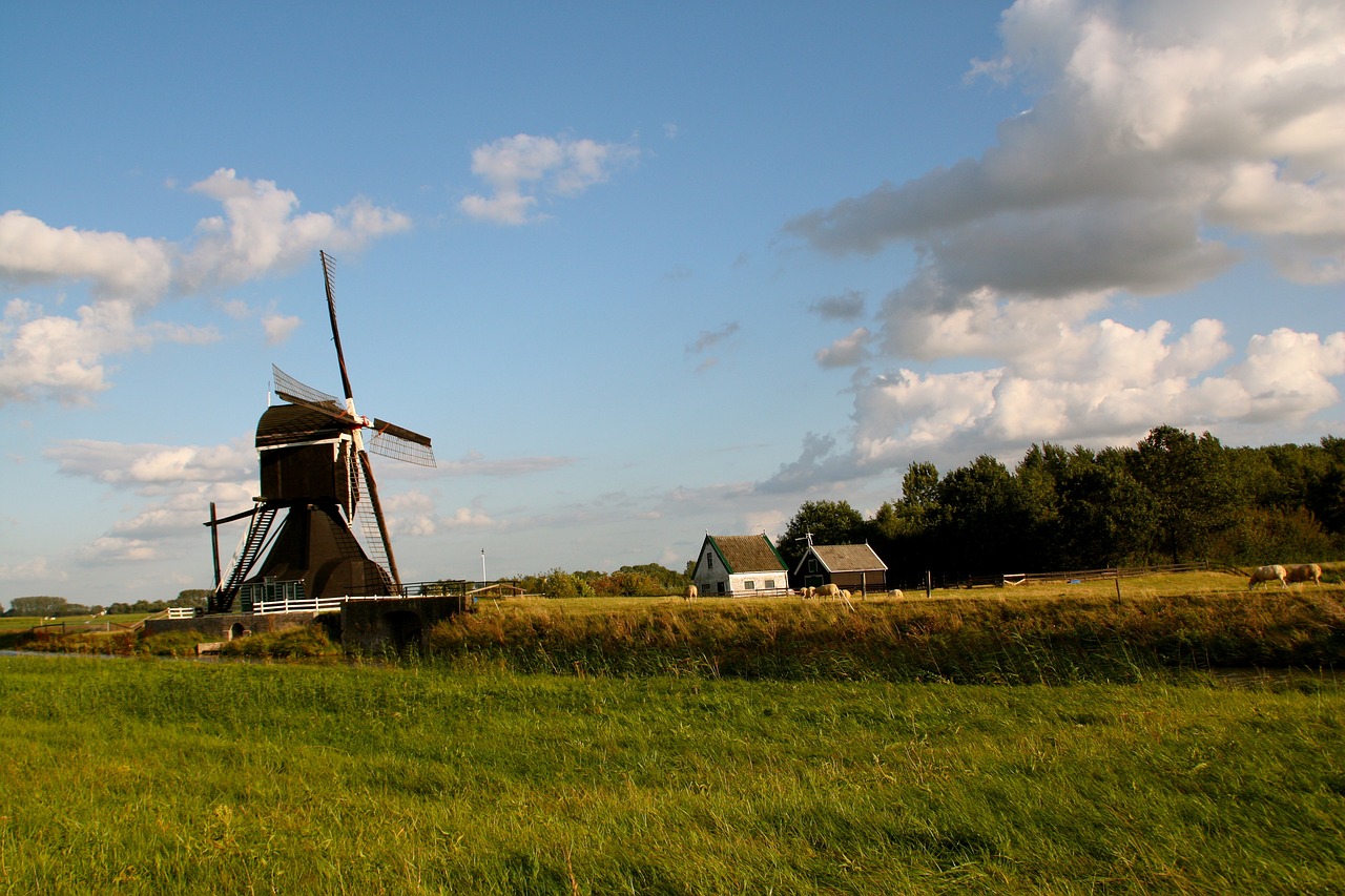 重塑历史与未来的交汇点，逆君侯最新动态揭秘