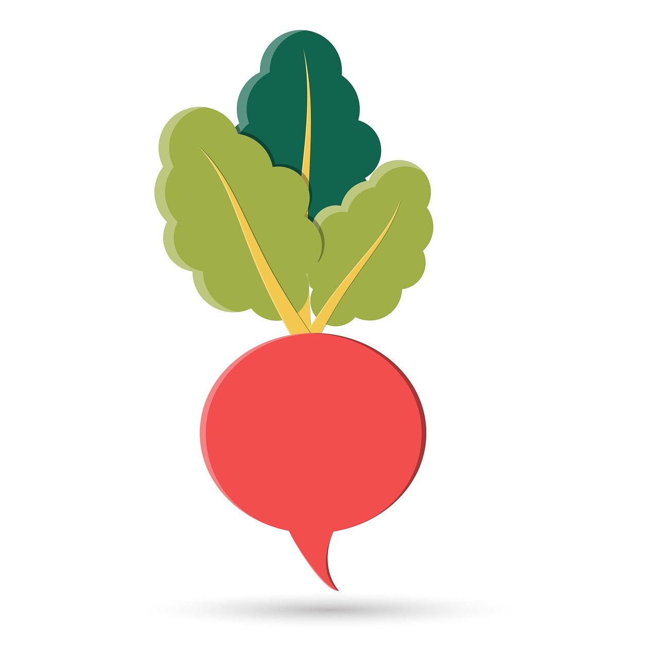 康定高速最新动态,探索发展之路,展望美好未来