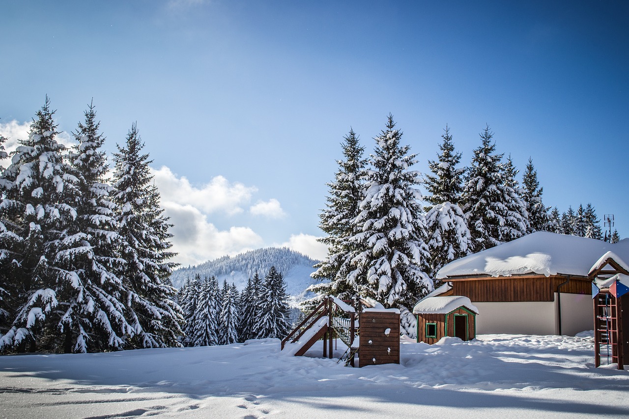 囧架架最新动态揭秘,探索新时代的独特魅力