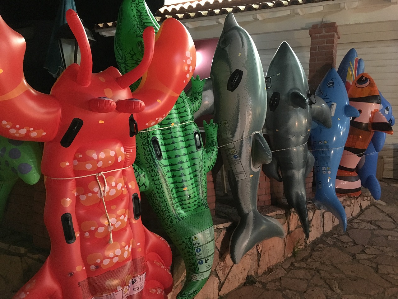 天天的最新视频,探索、创新与乐趣的无界之旅之旅