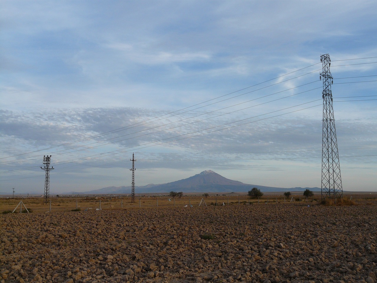 沈永革最新动态与成就概览