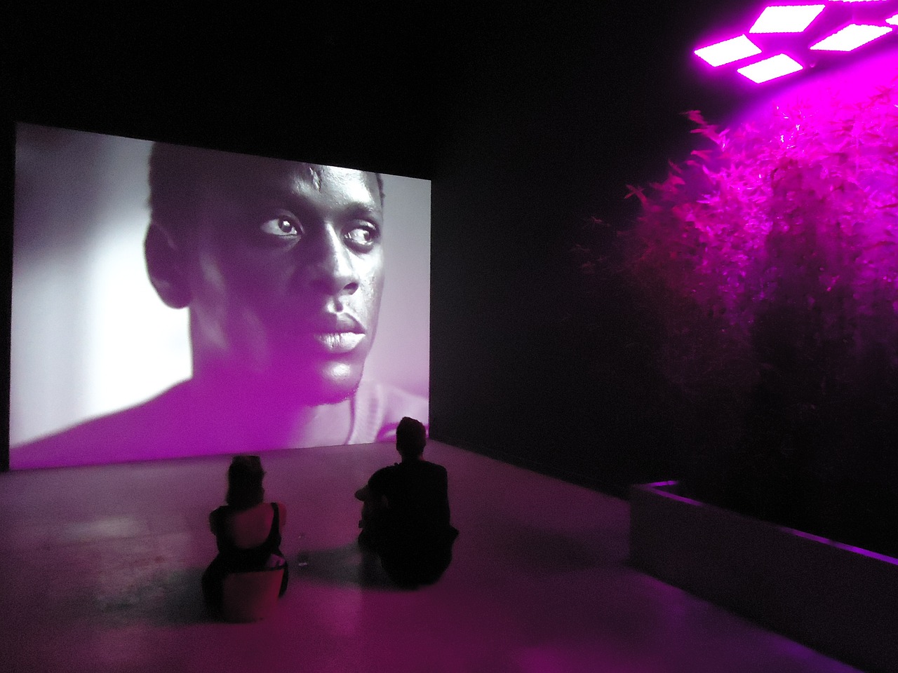 Epic最新免费领取游戏，游戏爱好者的福音时刻！