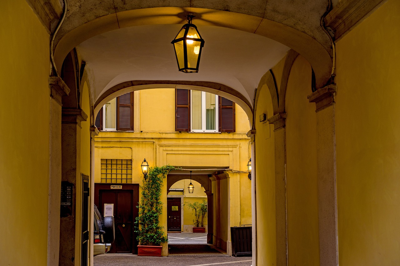 马口最新疫情动态与影响概述