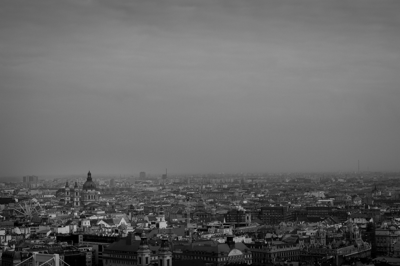 最新官网地,科技与信息交汇点的探索之旅