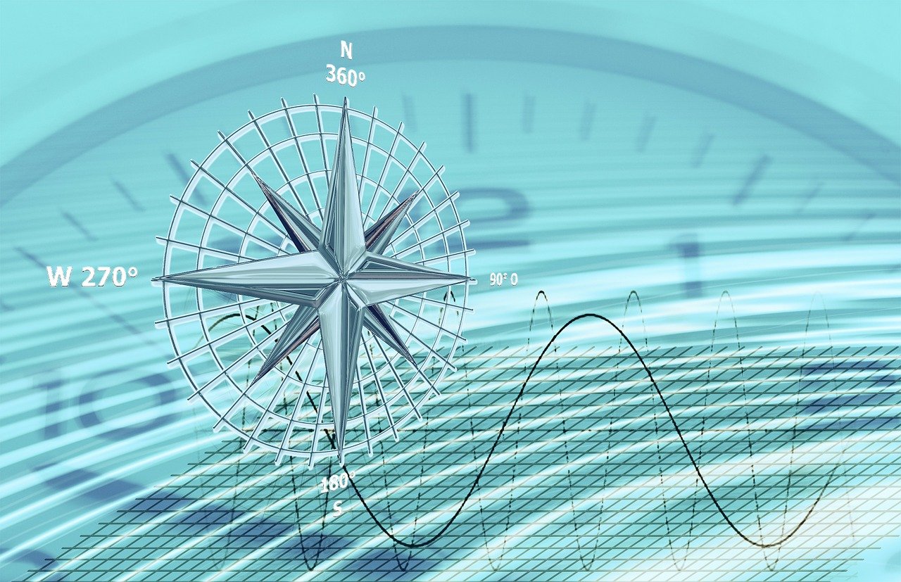 生猪行情深度解析,最新趋势与动态分析