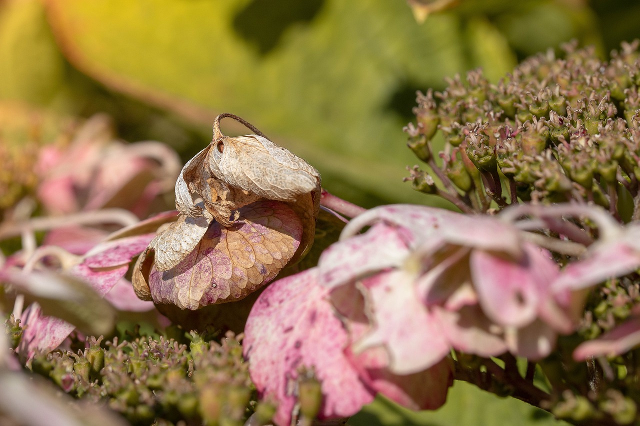 浙江最新肺炎疫情动态,抗击疫情的新征程