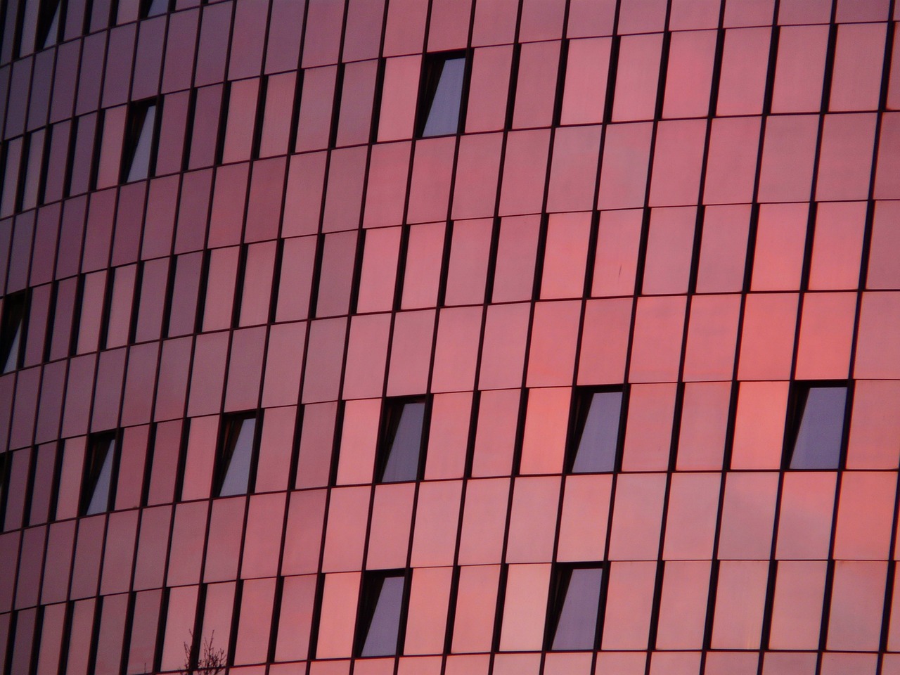 康正集团最新动态,创新引领,迈向更高峰。