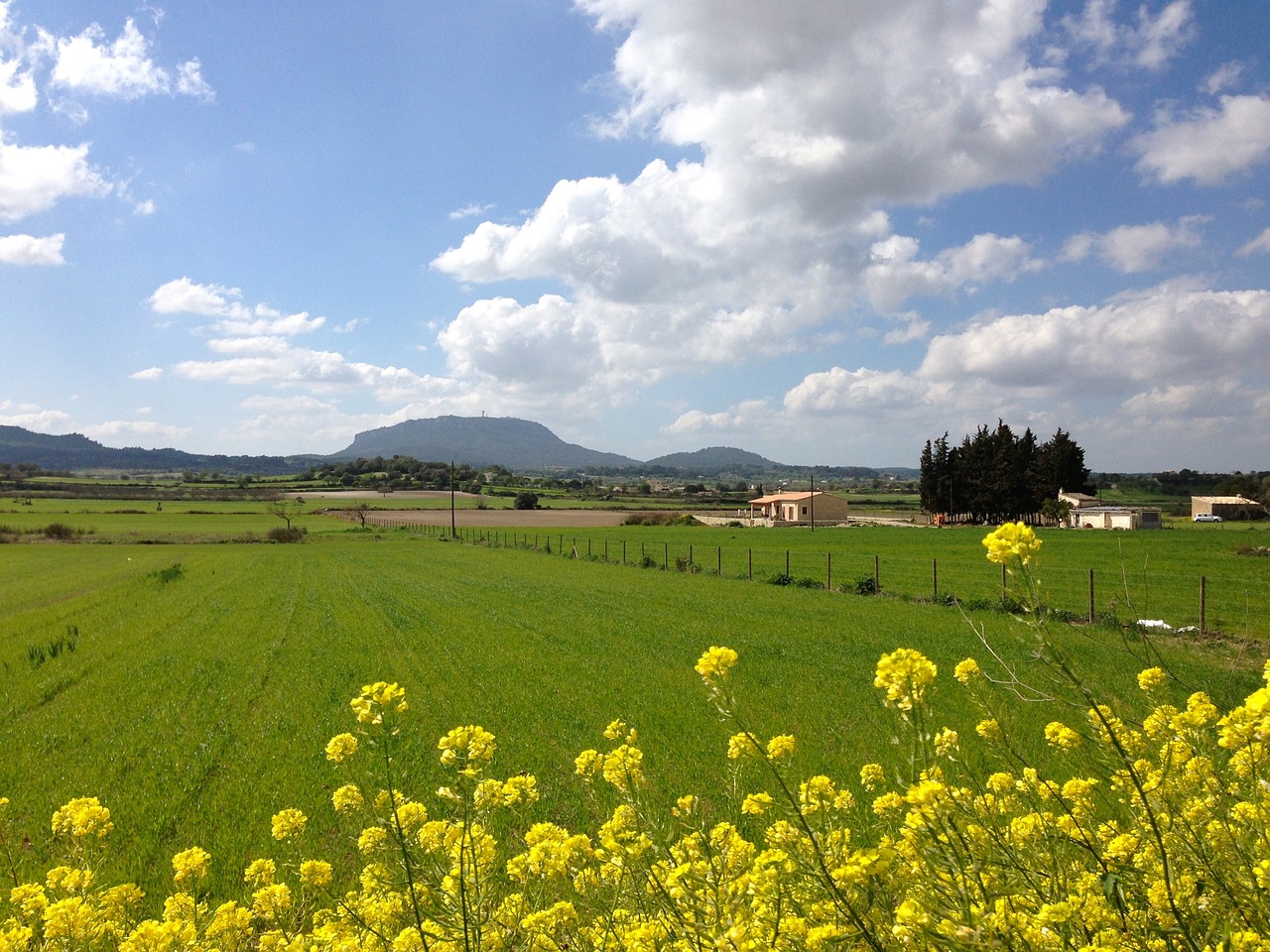 最新乡镇部门,推动农村振兴的核心力量,打造乡村发展新篇章
