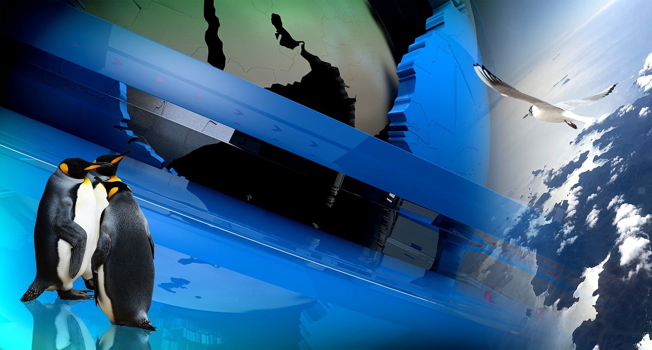 探索最新网络世界,去干最新网之旅