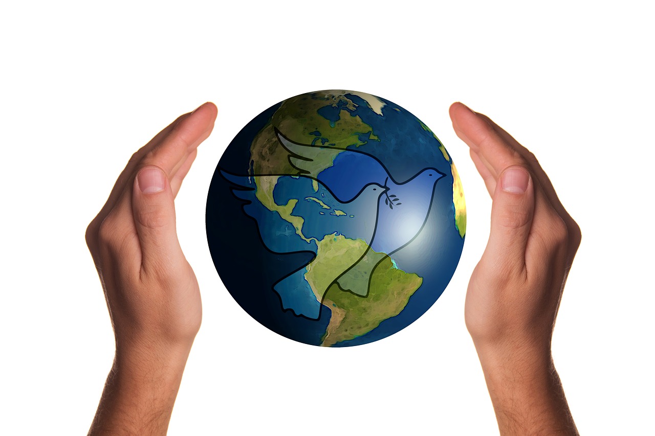 印尼最新病毒,探究、应对与全球关注焦点