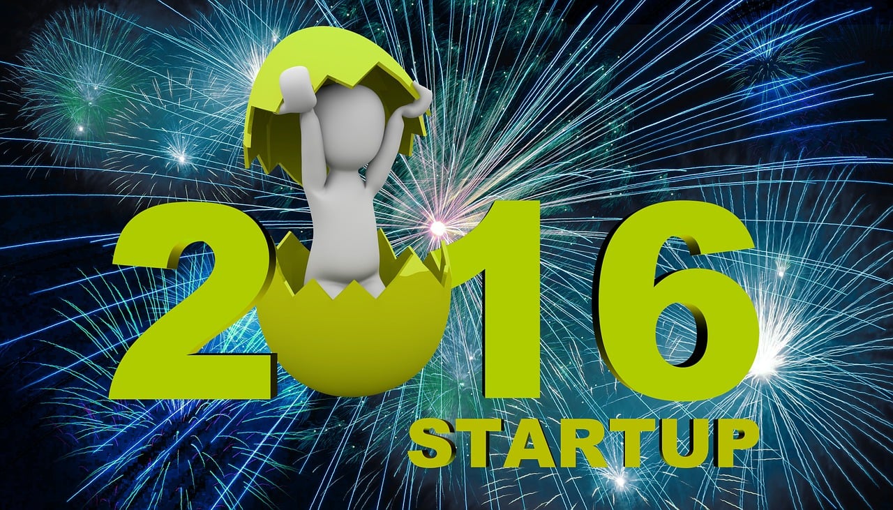 最新版虫虫,数字世界的新探险伙伴