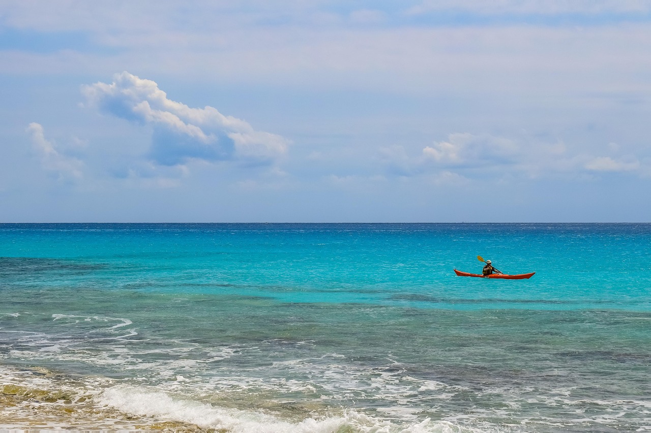 张无忍的最新动态与成就概览