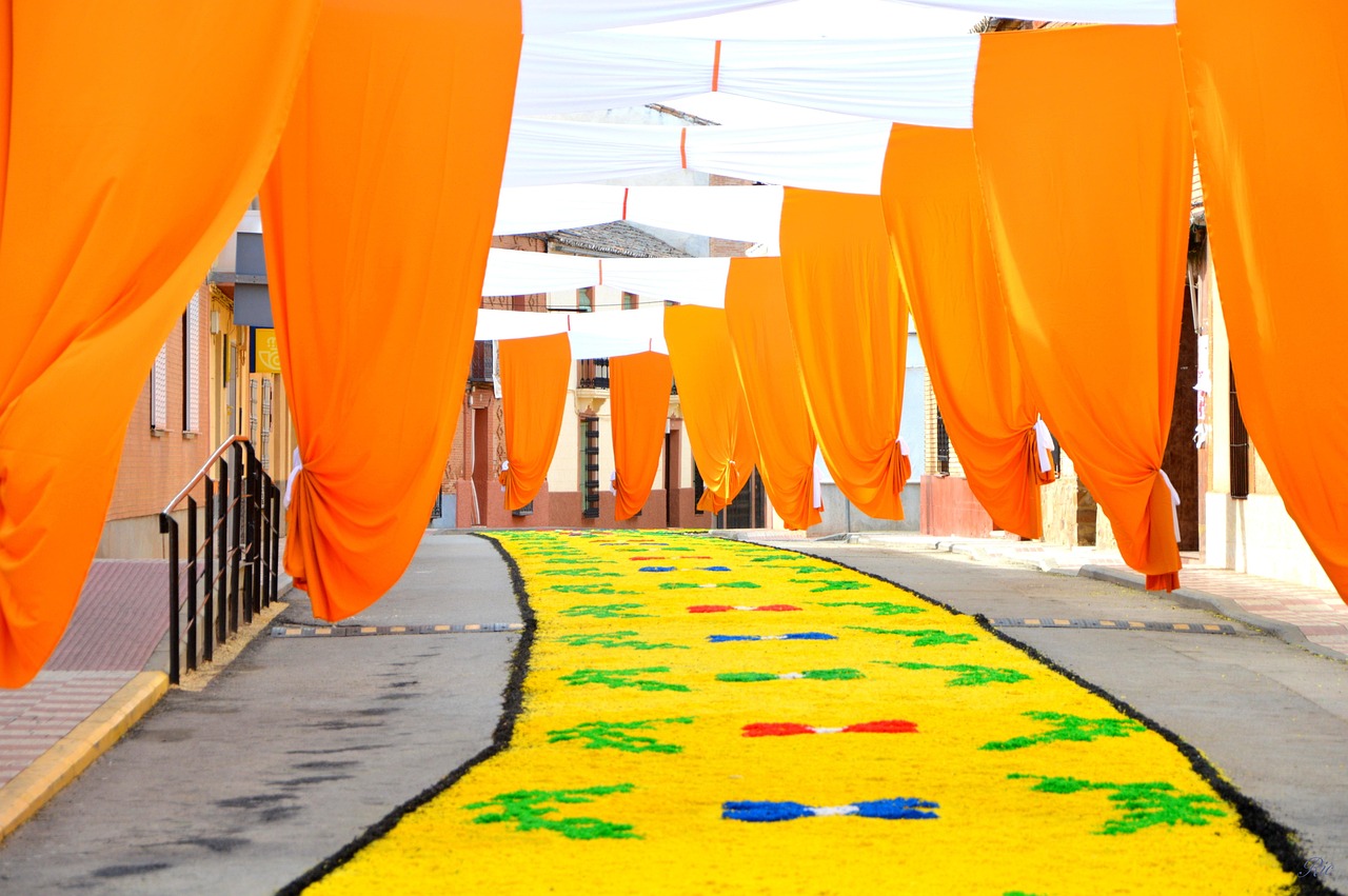 最新农业大会,探索未来农业发展新路径