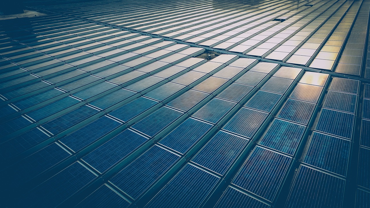 返京黎某,最新动态探索时代前沿,引领未来潮流