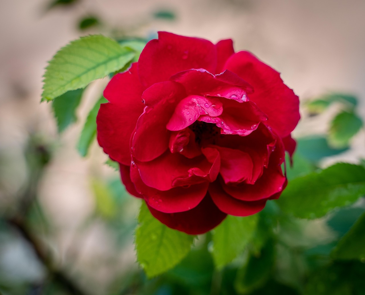 金宣雅最新动态,闪耀之星不断绽放的光彩