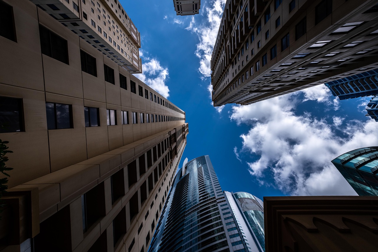 CBA各队最新外援动态更新