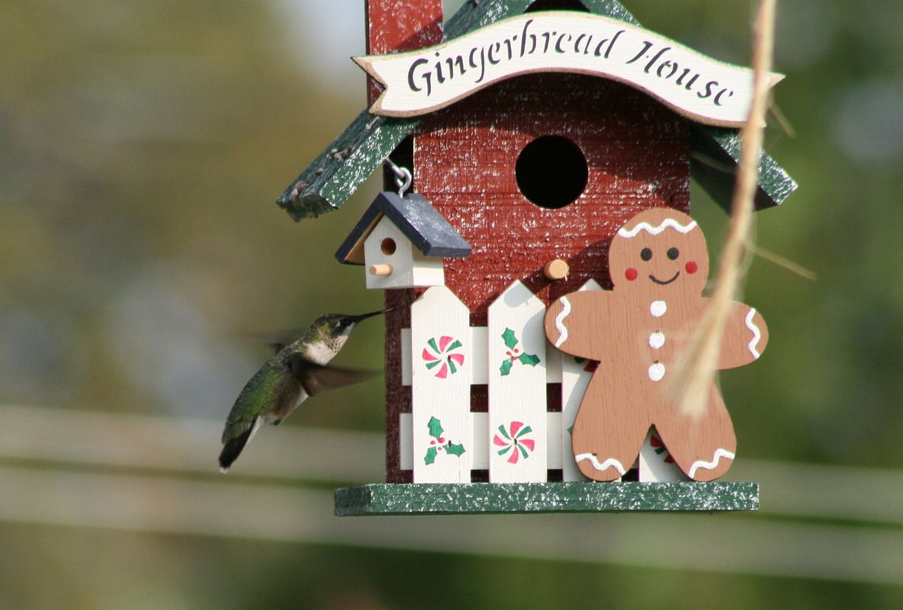 小猪佩最新集,冒险与欢乐的新篇章开启!