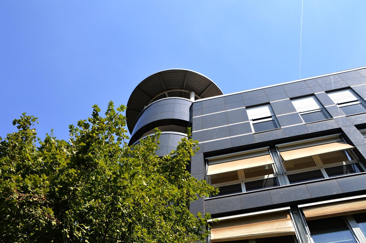 最新文献网站，探索学术前沿的门户