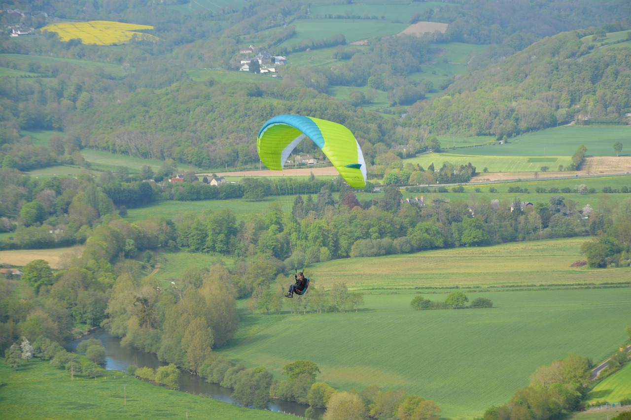 新加坡航空发布最新公告,未来航班运营新动态与挑战解析