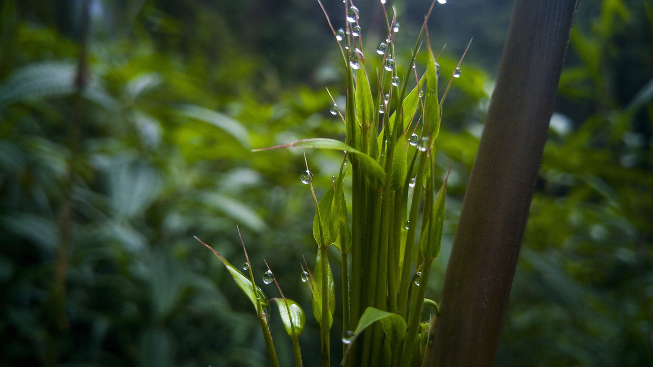 南海台湾局势最新动态,地区新形势发展与影响分析