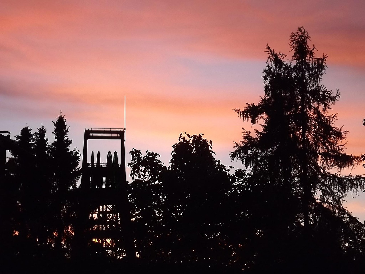 最新时事热点PPT,洞悉未来趋势,掌握时事动态概览