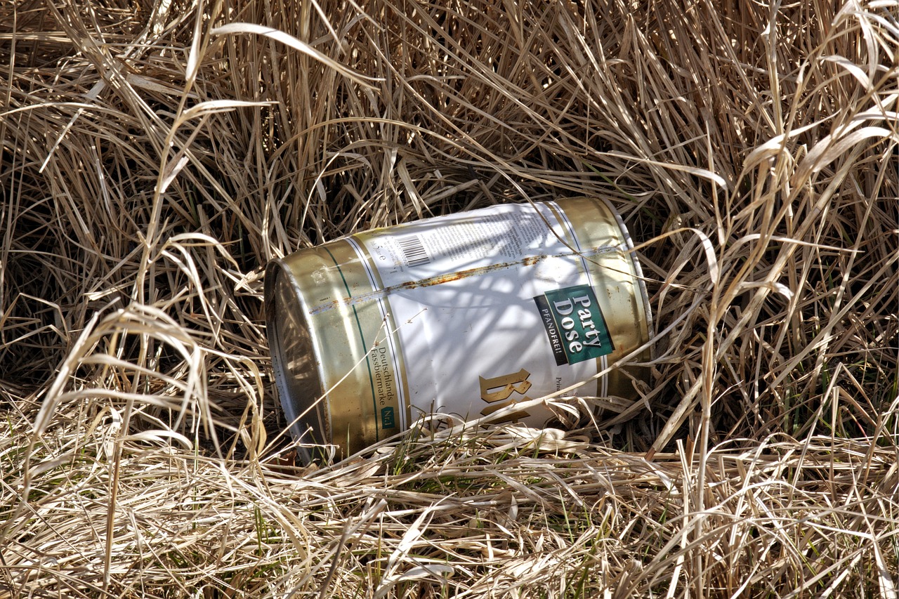 最新时事热点PPT,洞悉未来趋势,掌握时事动态概览