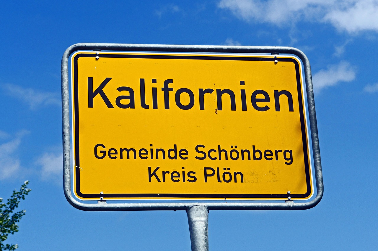 美国最新选举舞弊揭秘,探寻真相与公正之路