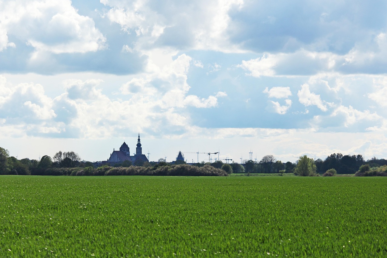 大汉都护最新动态,历史与现代的交融展现新时代风采