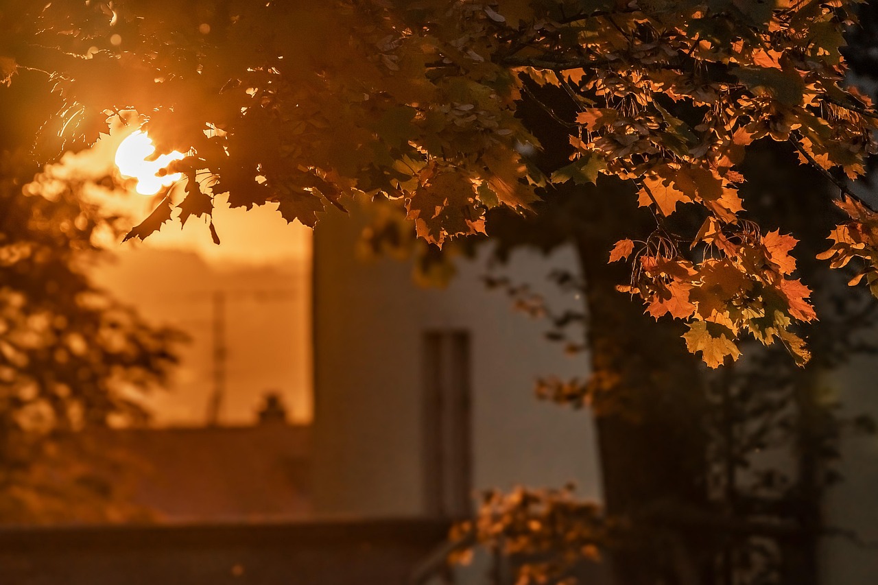 杭州王位山最新探秘,自然与人文的绝美融合之地