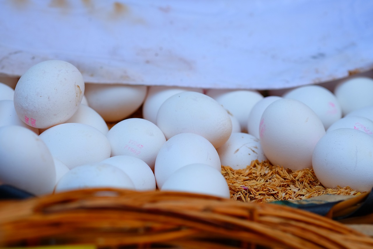 今日米价最新动态及分析,最新价格与市场趋势探讨