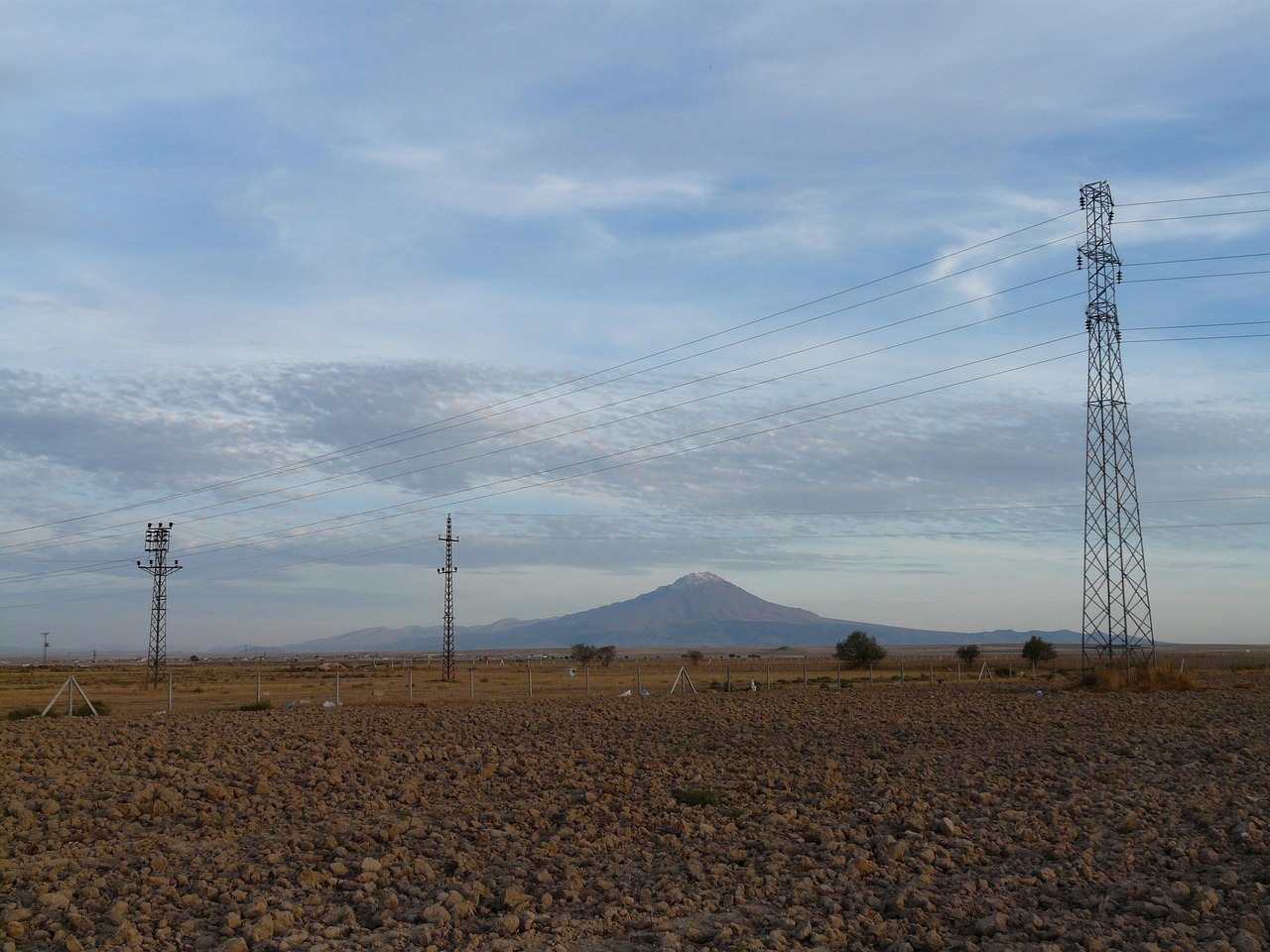 纪文君的最新动态与成就概览