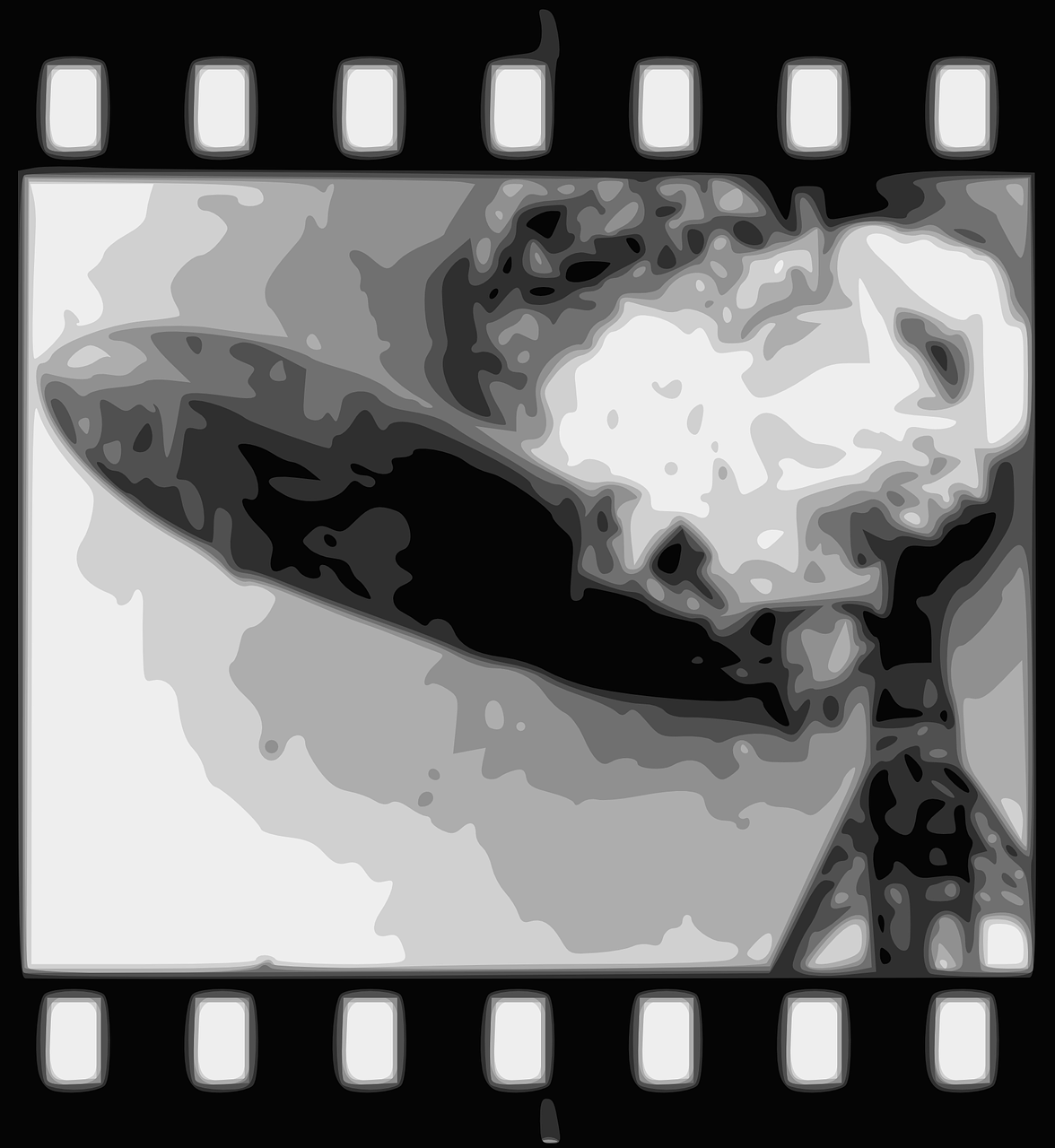 最新蛇电影,重塑银幕上的蛇类角色魅力