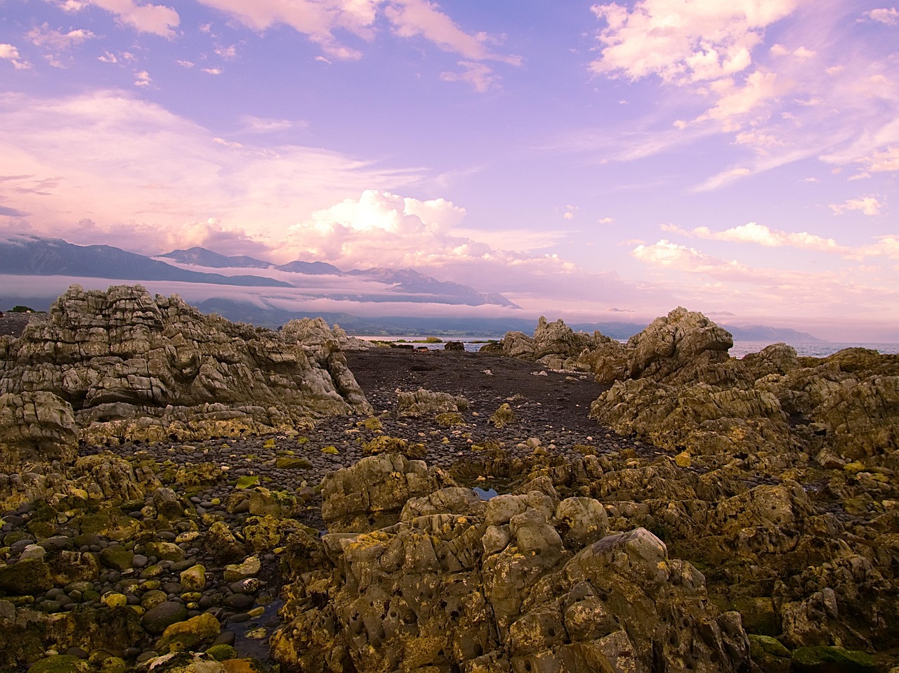 双柳地区蓬勃发展新景象的最新动态