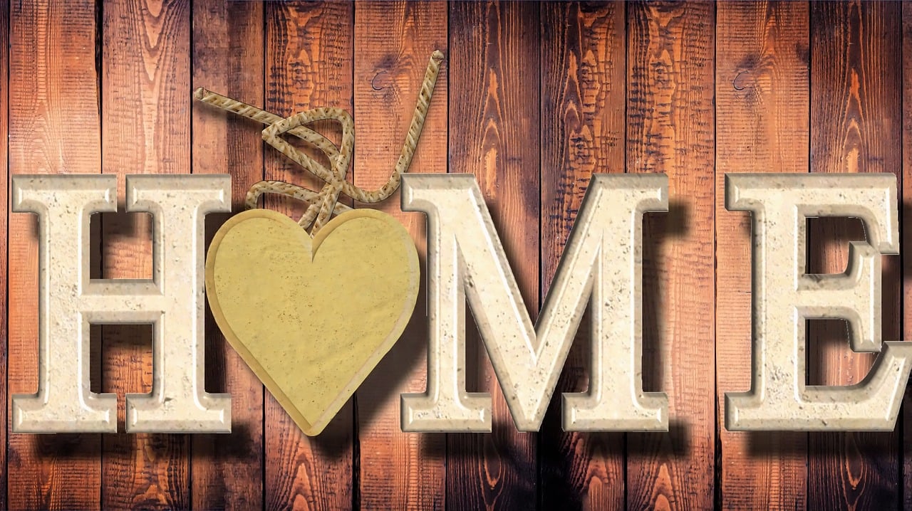 棕鸟最新动态,引领前沿科技,塑造未来之路