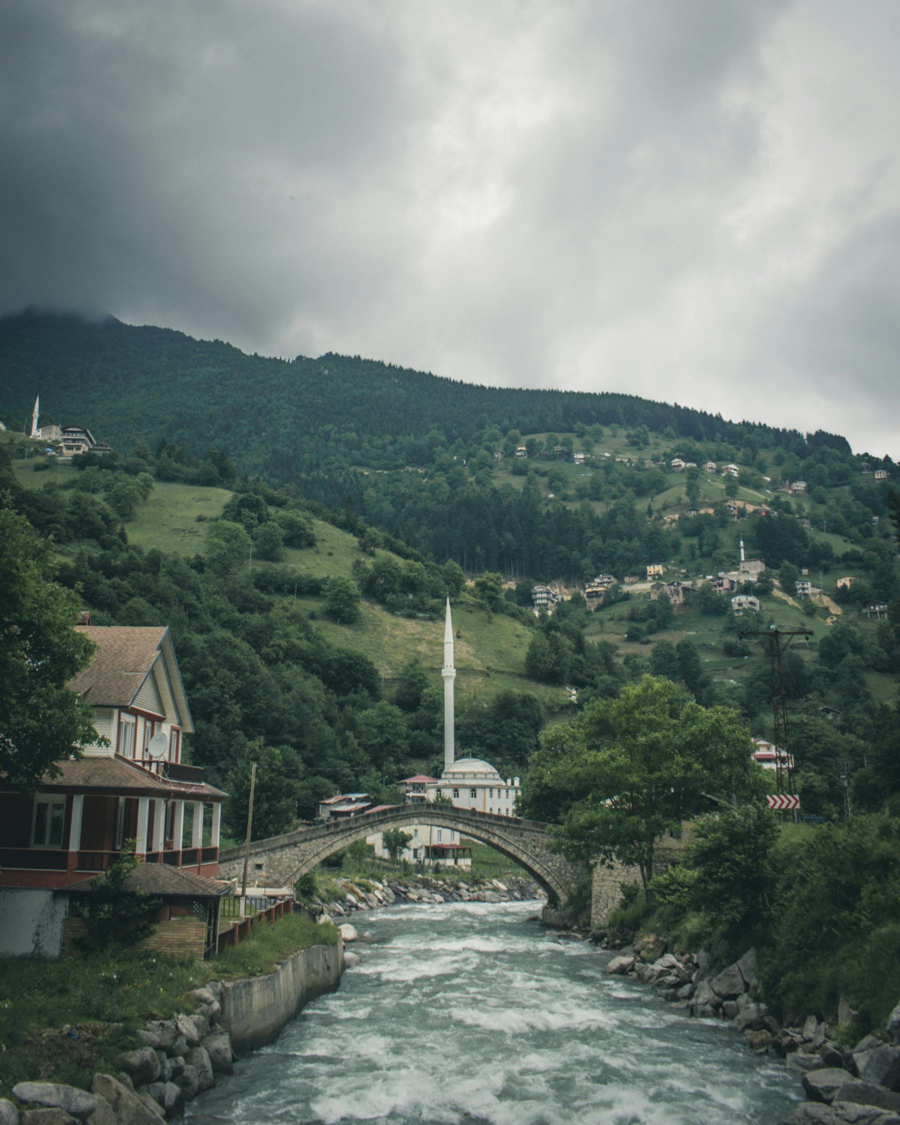 埠河镇最新发展动态概览