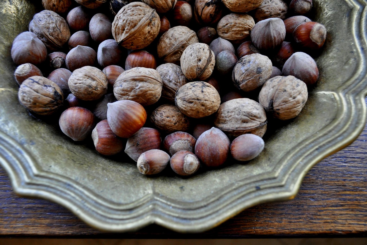 最新鸡枞菌,自然的美味与健康之宝